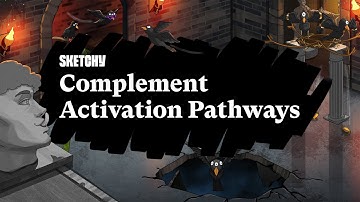 Complement Activation Pathways in Immunity (Part 1) | Sketchy Medical | USMLE Step 1