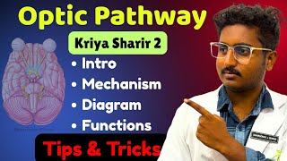 Optic Pathway - Modern Physiology | Kriya Sharir Paper 2 - BAMS First Year University Exams