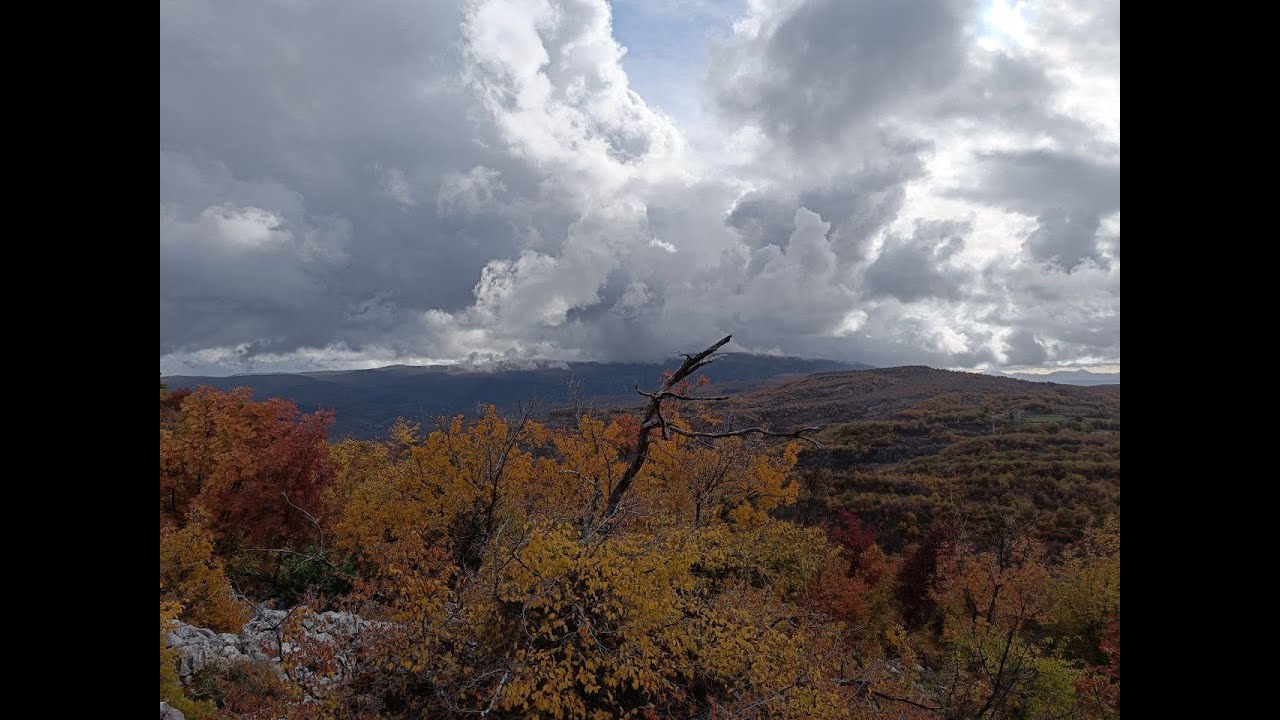 Caccia alle coturnici: ritorno in Bosnia Erzegovina