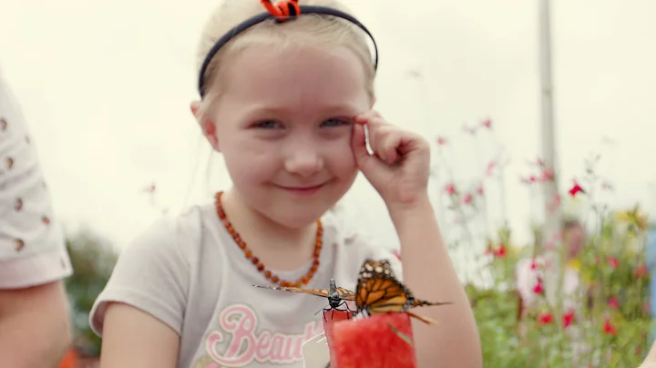 Romancing the Monarch - Videographer Daniel Piatt