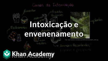 O que acontece com o sangue após recolher as substâncias tóxicas eliminadas pelas células?