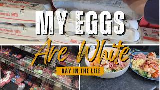 My Eggs Are White