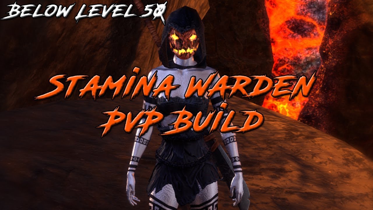 Below Level 50 Stamina Warden Build - Elder Scrolls Online: Dragon Bones