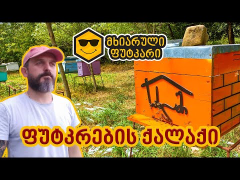 ფუტკრების ქალაქი