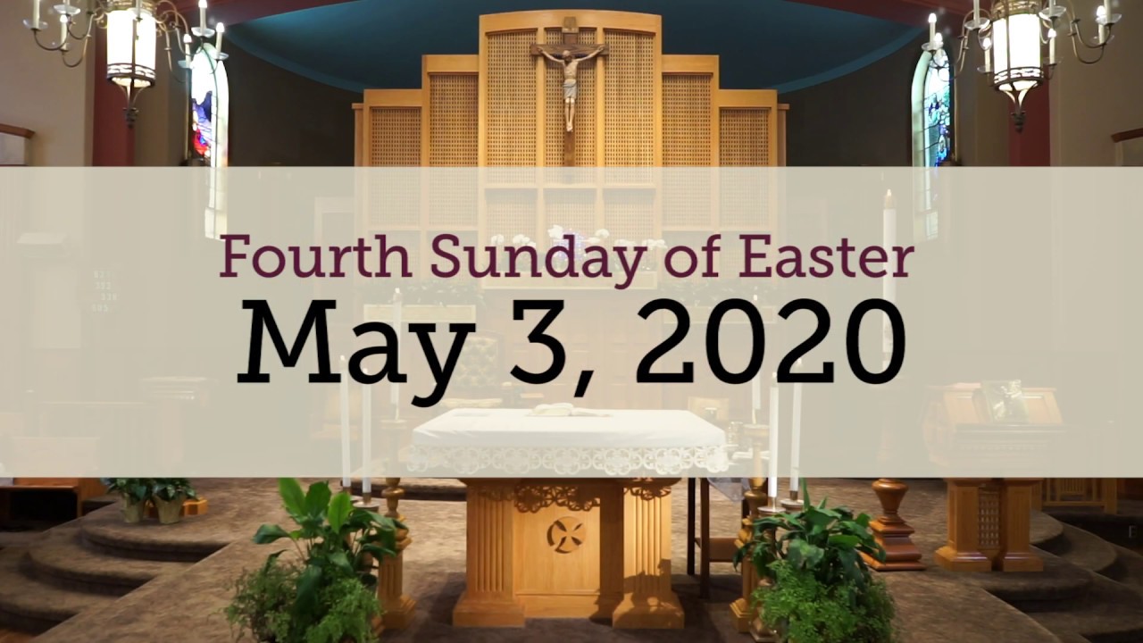 St Robert Bellarmine Mass Times