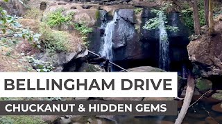 Bellingham Drive Chuckanut & Hidden Gems