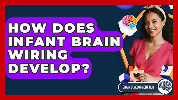 How Does Infant Brain Wiring Develop? - Brain Development Hub