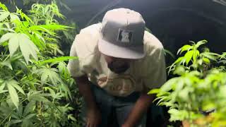POV youre at the garden house with me