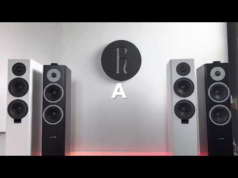 Dynaudio Xeo 6 vs. Xeo 30: Can you hear a difference?