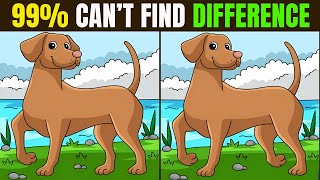 Spot The Difference : Can You Find Them All? [ Find The Difference #9 ] screenshot 2
