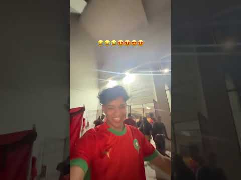 هبلت فالتشيلي