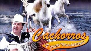 Watch Los Cachorros De Juan Villarreal El Cartel De Los Cielos video