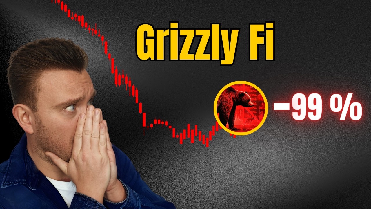 Grizzly Fi: Kompletter Preisabsturz | Keine Hoffnung mehr?