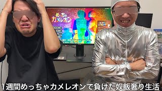 【実写】1週間めっちゃカメレオンで負けた奴飯奢り生活をしたら陰キャすぎて存在に気づかれない特性を利用しめちゃくちゃ無双した