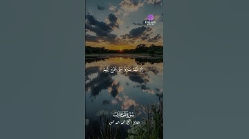 تلاوة خاشعة بصوت الشيخ محمد أحمد حسن تملأ القلب نورًا 🌙✨
