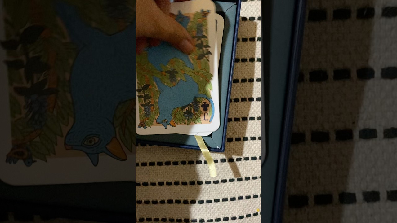 Descubre hoy en esta 