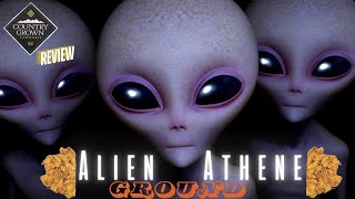 Country Grown Alien Athene Ground Review