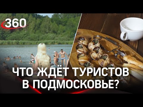 Белоснежные пляжи, ресторанные улицы и редчайшие экспонаты - туризм в Подмосковье на любой вкус