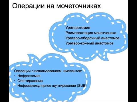 Видео: Может ли у собак быть негерметичный мочевой пузырь?