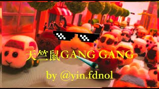 【天竺鼠GANG GANG】 @tomfatki
