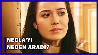 Cem, Neclayı Neden Aradı? - Yaprak Dökümü 72. Bölüm