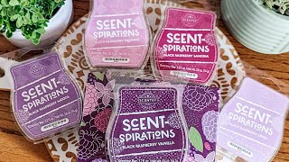 My Thoughts on Scentsy’s Black Raspberry Vanilla Scent-Spirations and Fathers Day Collection