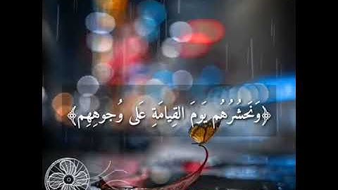 تلاوة هادئة وخاشعة تريح القلب والعقل /أجمل حالات واتساب قرأن كريم بصوت جميل جدا