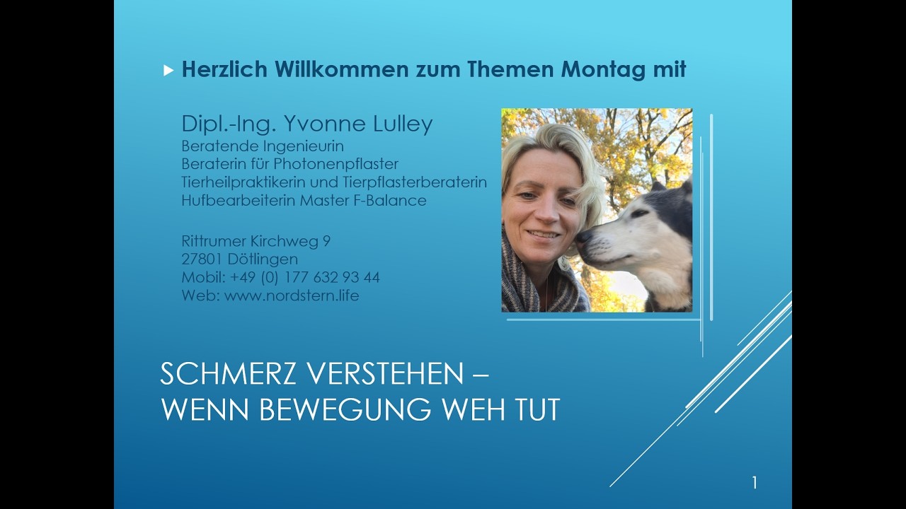 Schmerz verstehen - wenn Bewegung weh tut.