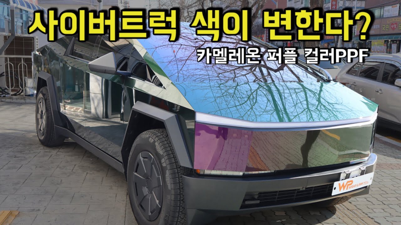 사이버트럭 컬러 PPF로 대변신 ㅣ Chameleon Purple Cybertruck