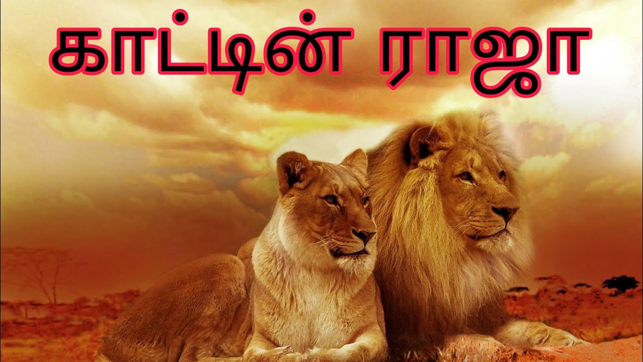 essay about lion in tamil