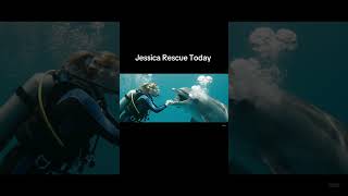 Jessica Rescue Today Nw