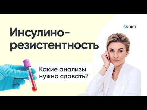 Анализы на инсулинорезистентность: какие сдать, расшифровка показателей и где лучше сдать анализ