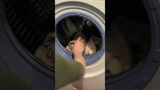 #shorts #shortvideo #video #cleaning #cleaningmotivation