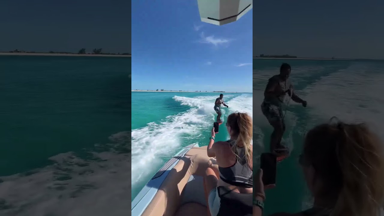 The dolphins also love the new wave!😎🐬🏝️ 