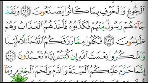 مصحف التجويد صفحة 280 إبراهيم الأخضر 🕋🕋