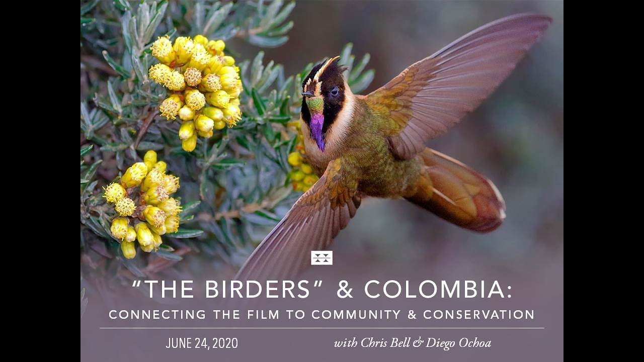 "The Birders" and Colombia: Connecting the Film Series to Community and Conservation