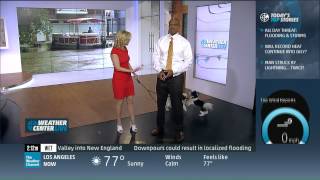 The Weather Channel Fun with Dogs feat. Alex Wilson & Paul Goodloe