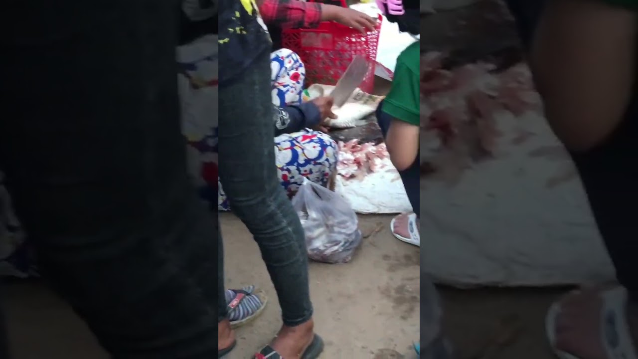 Natural fresh fish at Cambodia market