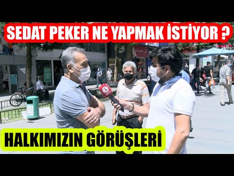 Sedat Peker Ne Yapmak İstiyor ? Açıklamaları Hakkında Halkımız Ne Düşünüyor ?