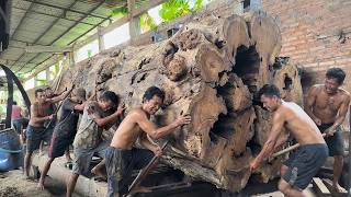 Inside One Of The Most Powerful Sawmill Factories