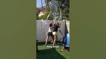 What happened to the DISCO BALL SKELETON?