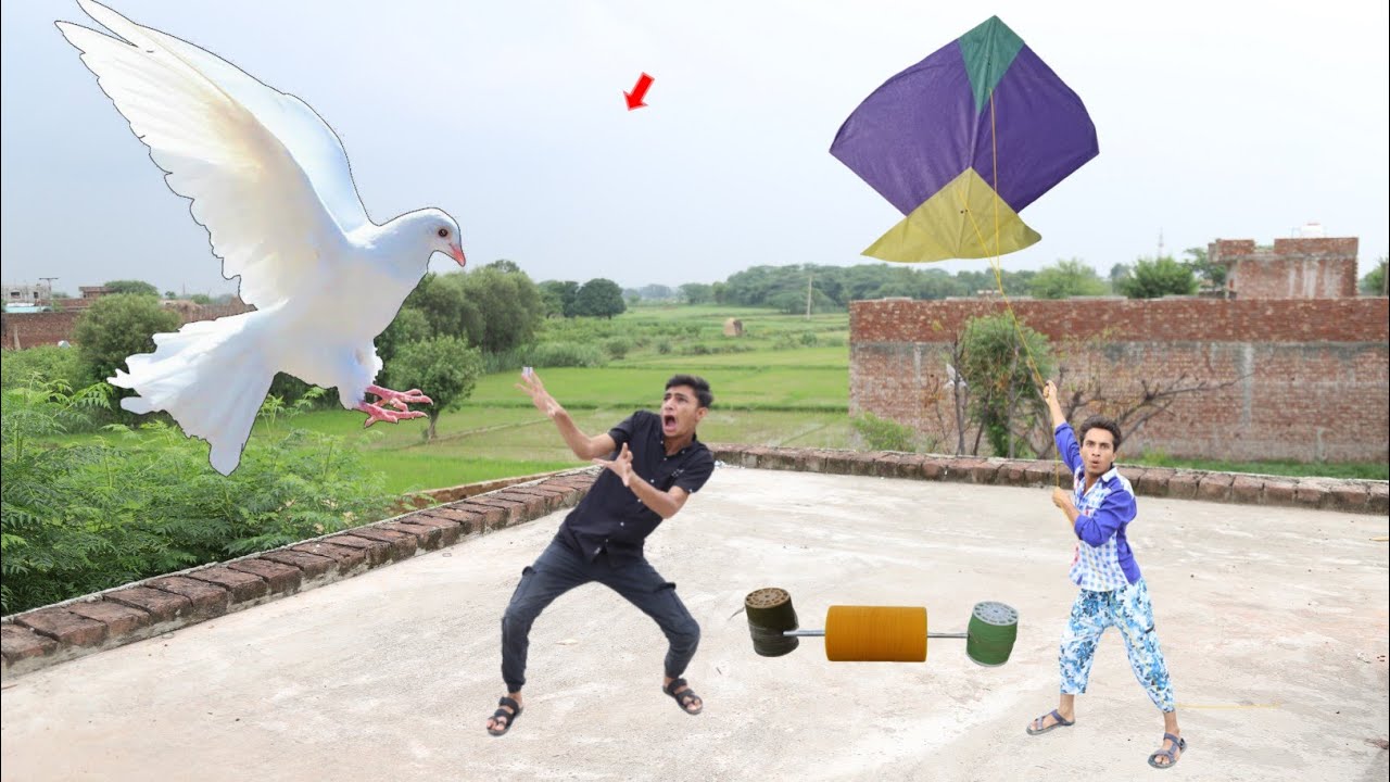 2 Kabutar Caught With Big Gudda