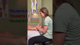 Massage for Ankle Sprains