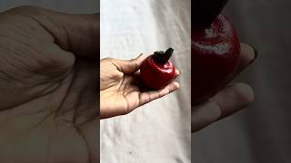 Apple🍎soil clay art #shortsvideo painting