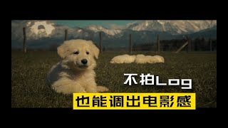 不拍Log直出画面怎么调色｜普通素材也能有电影感！