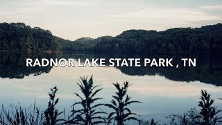 LARGE FORMAT PHOTOGRAPHY AT RADNOR STATE PARK, TN