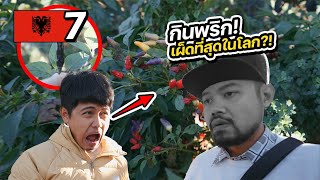 ALBANIA EP. 7 | กินพริกที่เผ็ดที่สุดในโลก