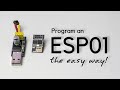 #1 Program an ESP01: The easy way!
