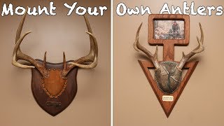 How to mount your own antlers on a budget (Cheap DIY Project)