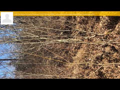 4895 Shadigee Road, Wilson, NY home video tour